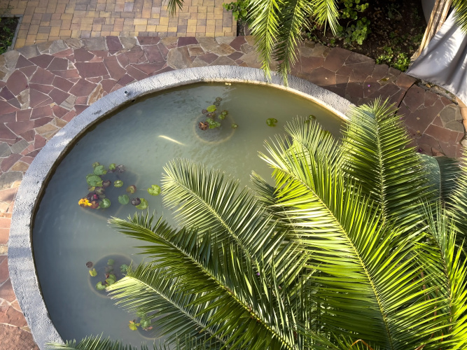 Boutique hotel AIMARA
