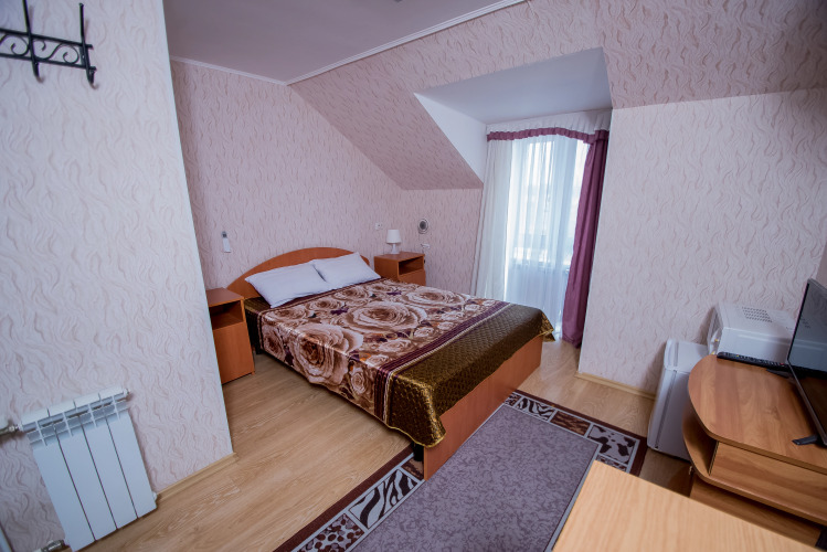 Фотография номера гостиницы Золотой лев