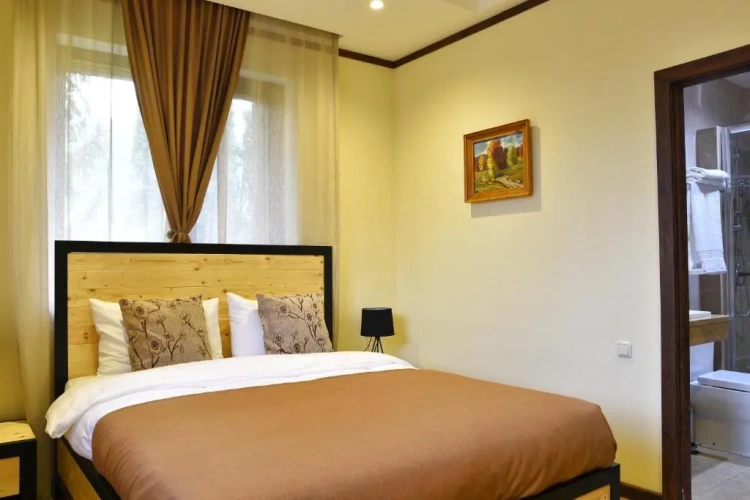 Standard Double room with balcony and with view