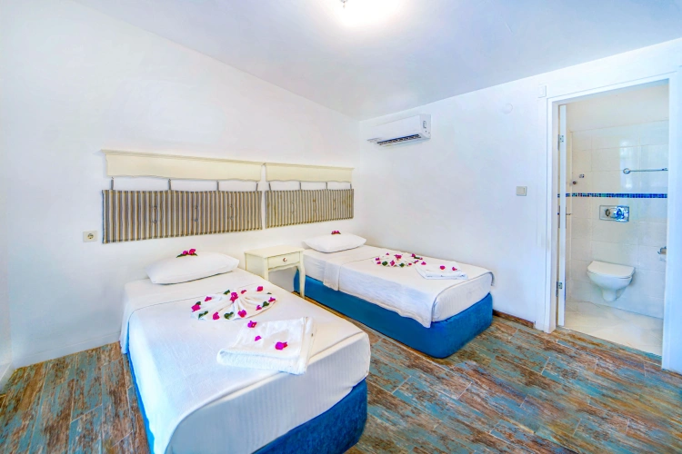 Deluxe Twin room with balcony and with sea view