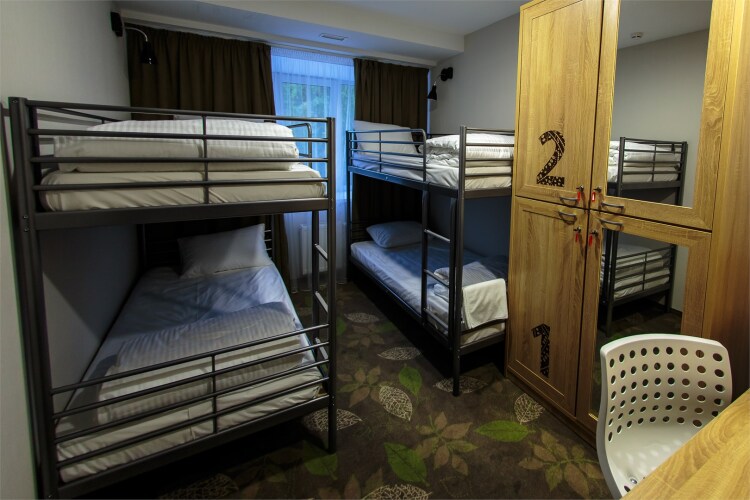   - изображение 1