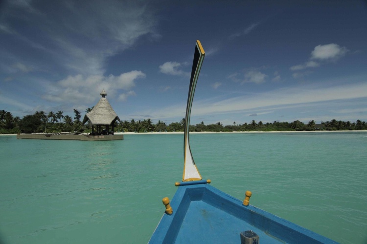 Canareef Resort Maldives photo 12