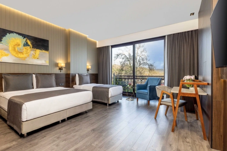Deluxe Triple Family room with city view