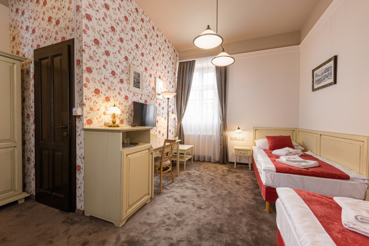 Standard Twin room with view