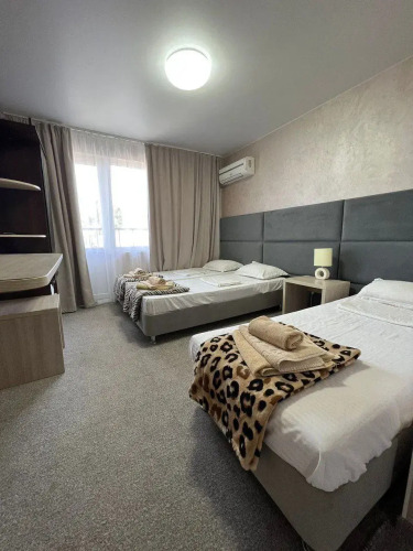   - изображение 1