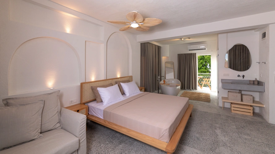 Superior Plus Double room with balcony and with city view