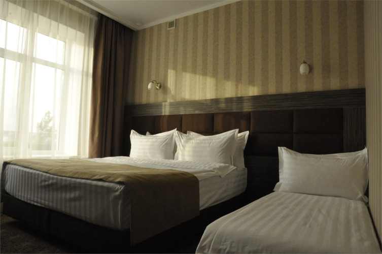 Фотография номера гостиницы Родина