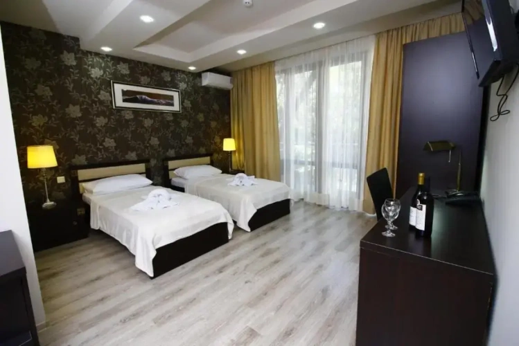 Standard Twin room with balcony and with view
