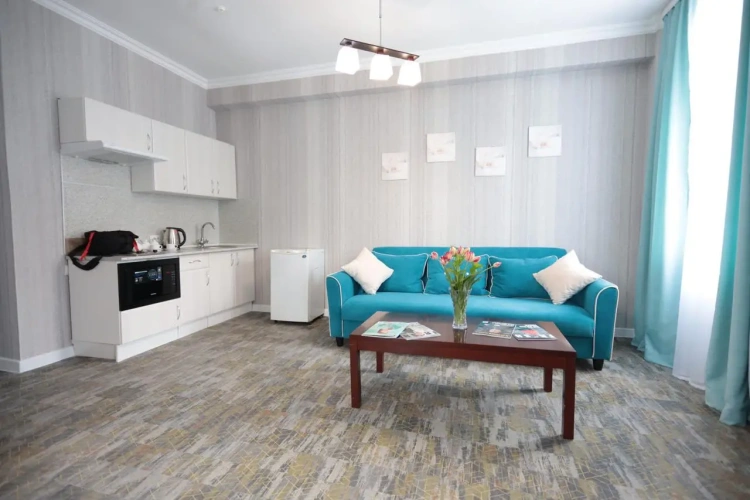 1 Bedroom Apartment with city view