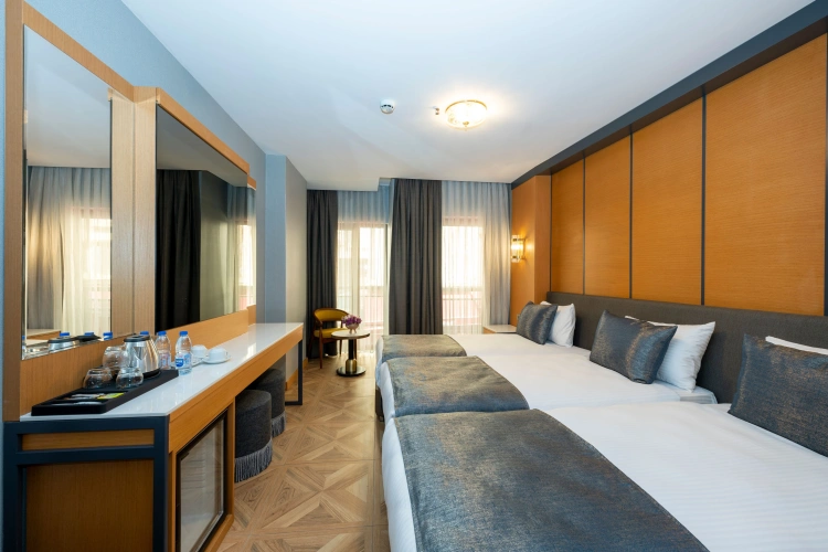 Deluxe Triple room