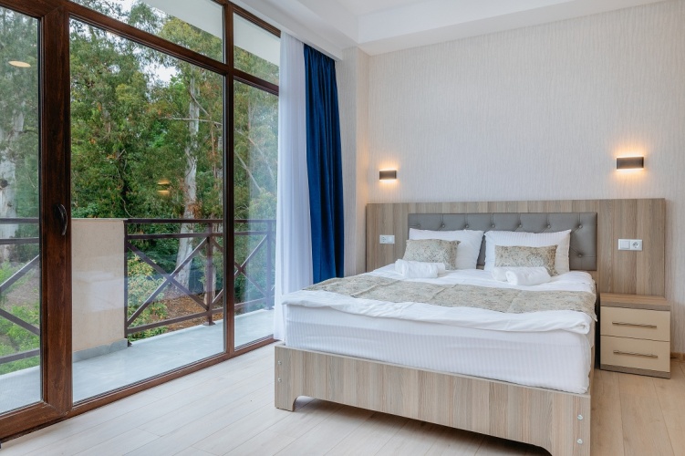 Standard Double room with balcony and with view
