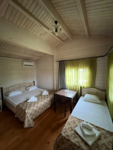 Standard Triple room with view