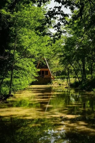 Superior Cottage