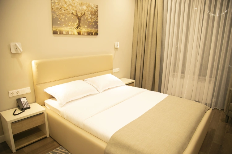Standard Double room with city view