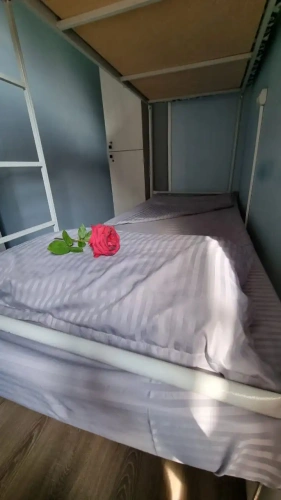 Bed in Dorm with garden view