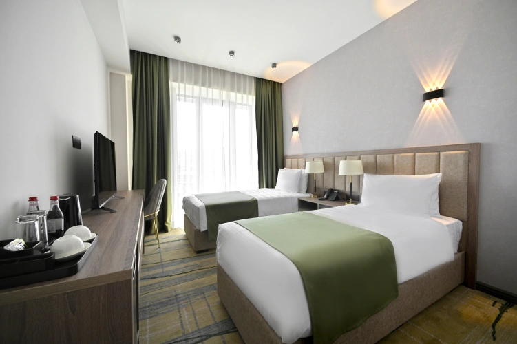 Standard Twin room with balcony and with mountain view
