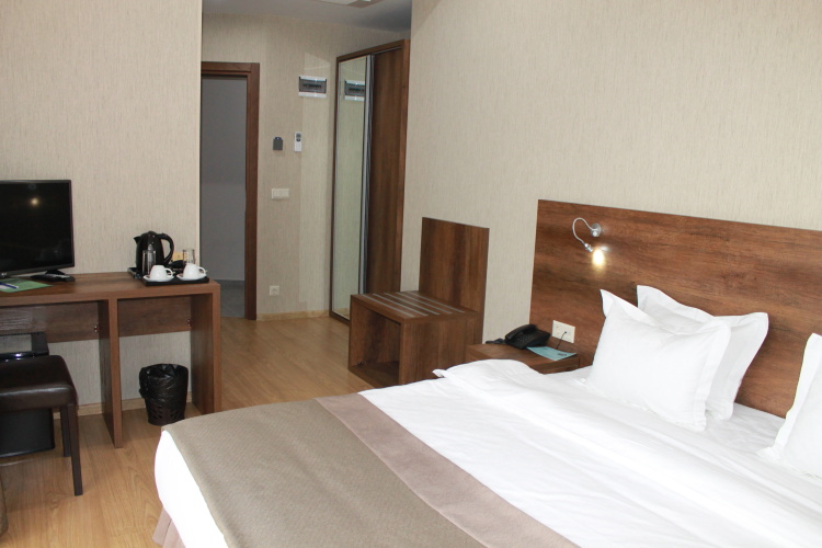 Superior Double room with balcony and with city view