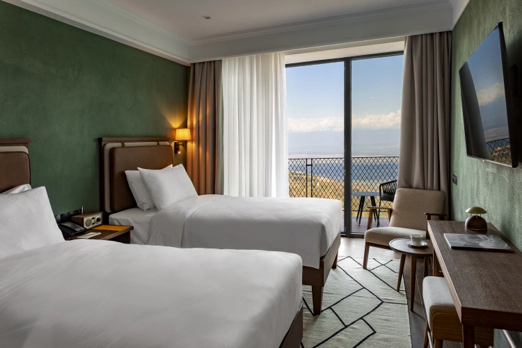 Standard Twin room with balcony and with city view