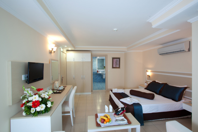 Standard Double room with balcony and with view