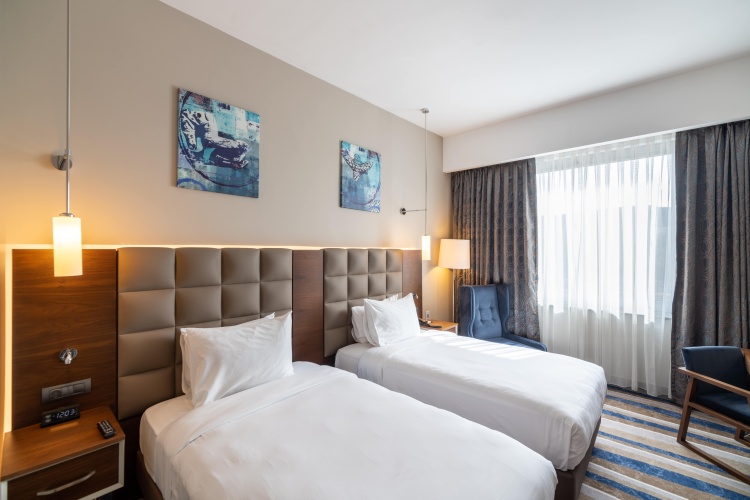 Standard Twin room with view