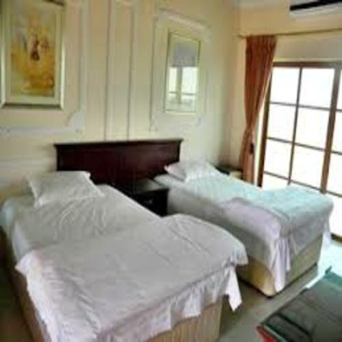 Standard Double room with view