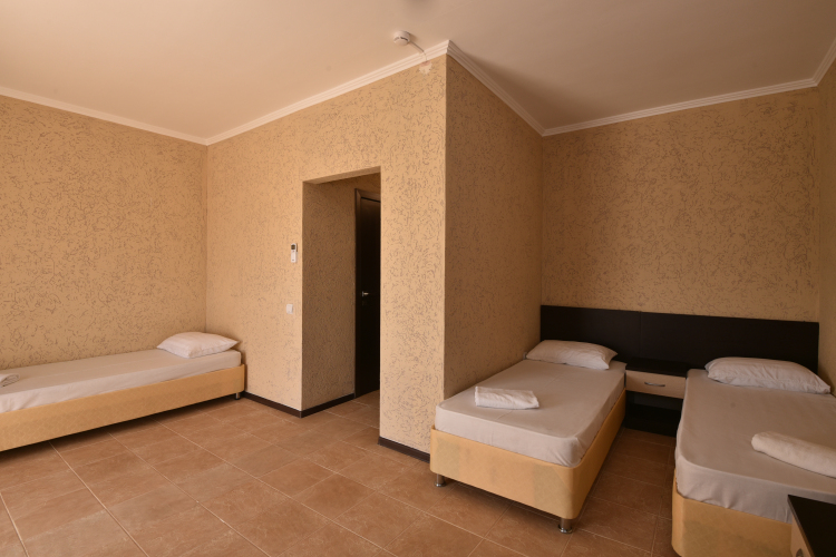 Фотография номера гостиницы Замок