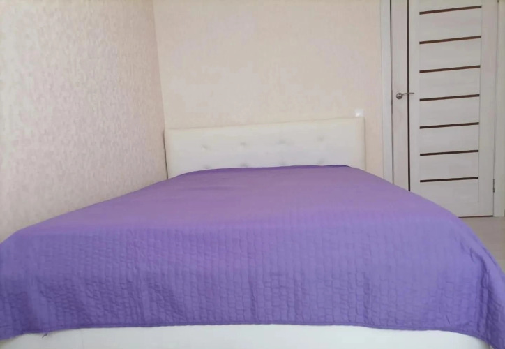 Фотография номера квартиры Апартаменты в самом центре Рязани