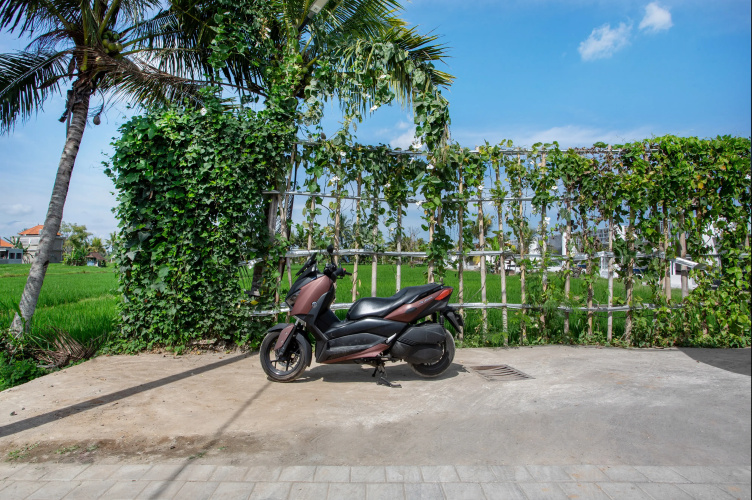 Green Flow Villas Complex Ubud Apartment Hotel