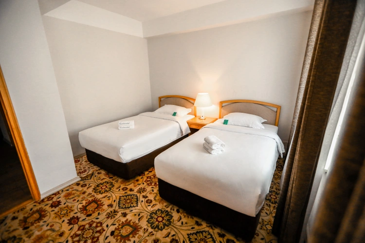 1 Bedroom Standard Twin room with view