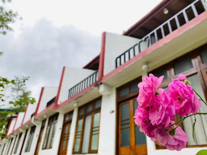 The Tea Tree Resort