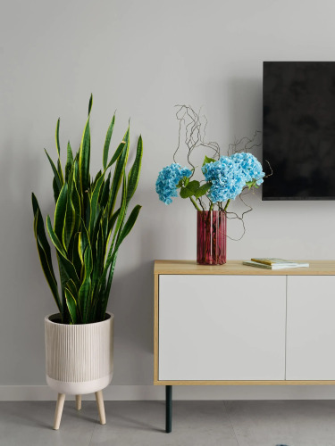 Фотография номера квартиры Квартира премиум класса