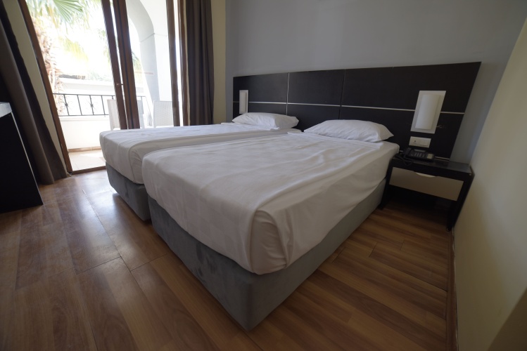 Standard Double room with balcony and with view