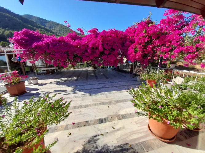 Akdeniz Pansiyon Bed&Breakfast