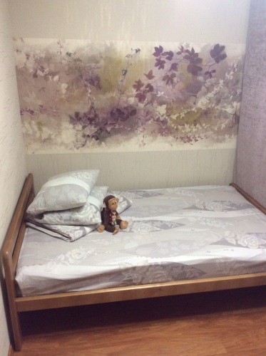 Фотография номера гостиницы Шумак