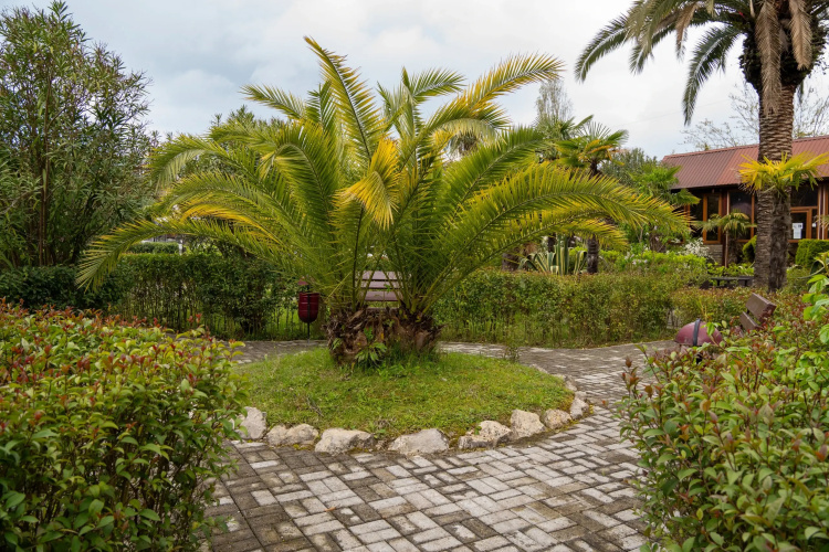 Apsilaa Hotel