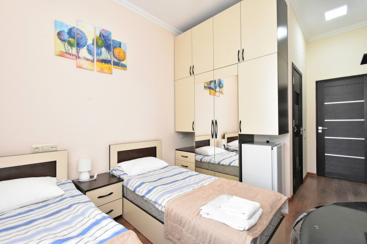 Standard Twin room with view