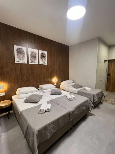 Фотография номера гостиницы Юнона