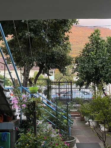 Oriental Guest house