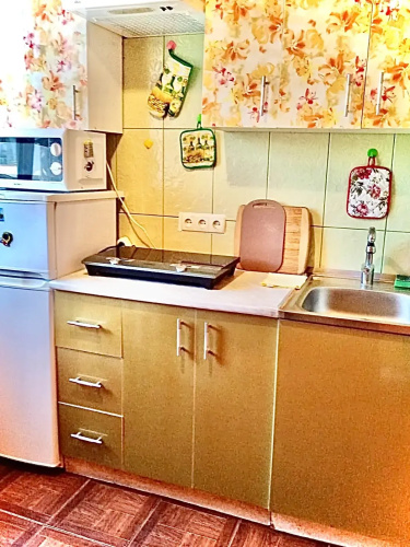 V Tsentre Goroda Flat