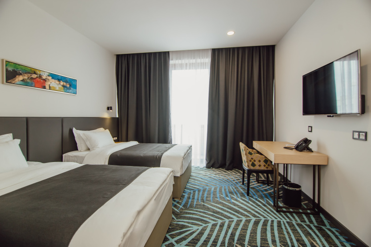 Classic Twin room with balcony
