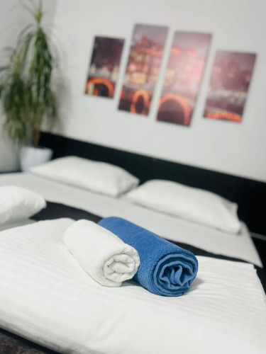 Фотография номера хостела Чемпион