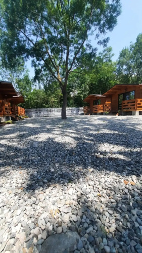 Magnoliya Mini hotel