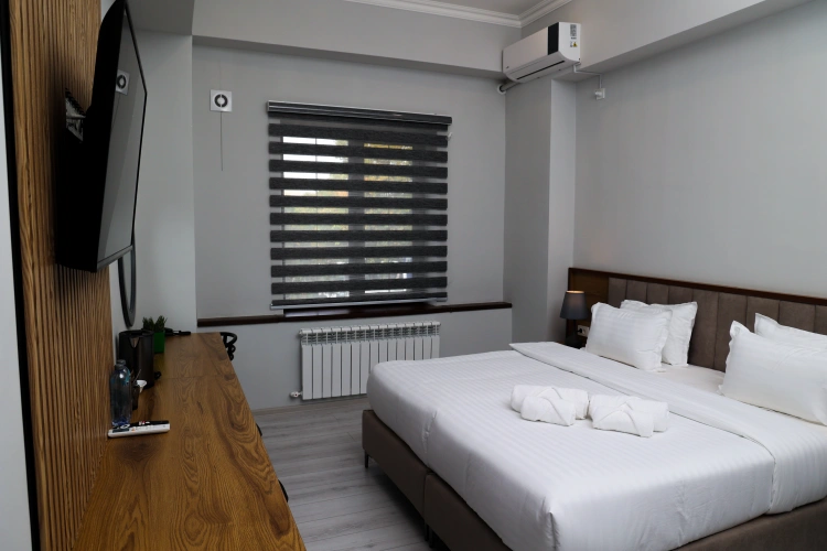 Standard Double room with view