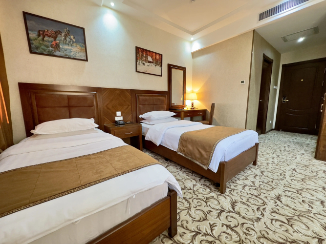 Фотография номера гостиницы Hotel Sultan