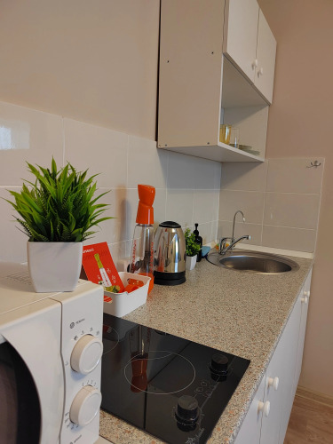 Фотография номера квартиры Апартаменты Студия 20 м² Белоозерский