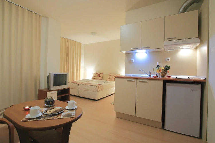 Studio with balcony and with view