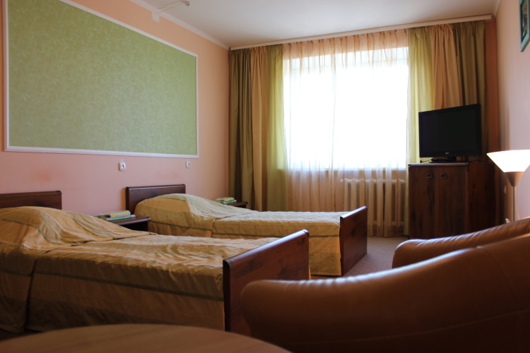 Standard Twin room with balcony