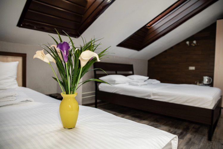 Фотография номера гостиницы Эверест