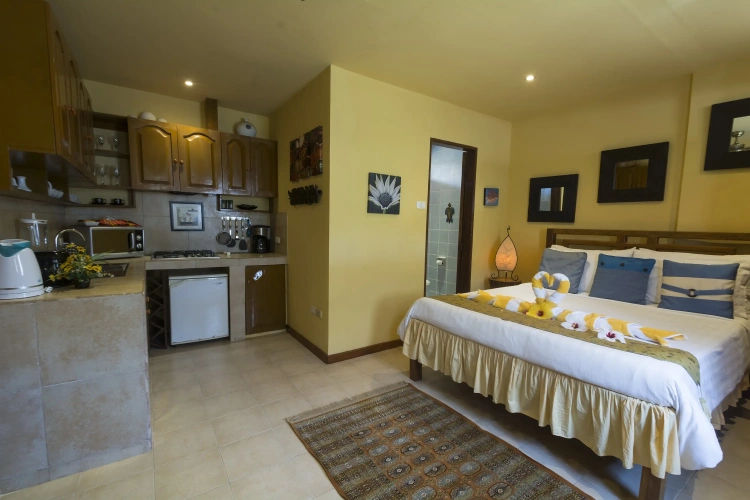 1 Bedroom Junior Suite