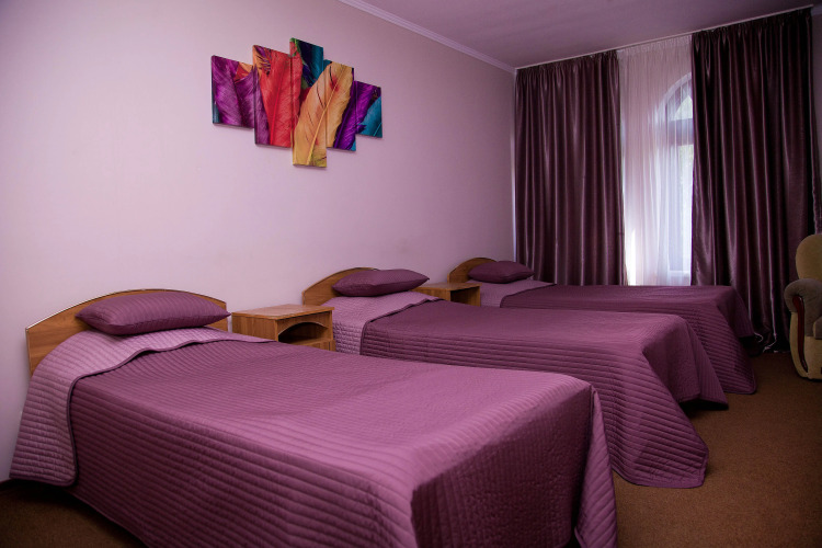 Фотография номера мини отеля Дом Смирновых